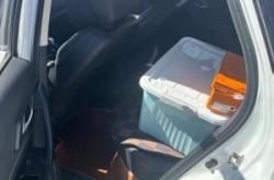 赤峰保留原車漆修復電話號碼