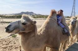 赤峰景麗臺球館電話號碼多少