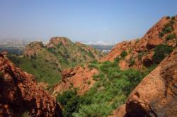 赤峰紅山區(qū)老廟社區(qū)電話號(hào)碼