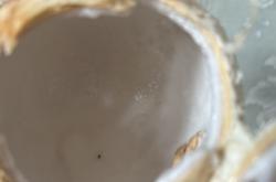 赤峰椰子水果店電話多少號