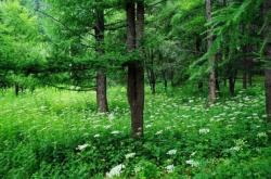 赤峰林源防水公司電話多少號(hào)