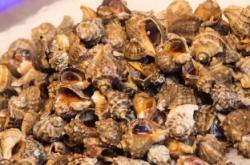 赤峰川味漁村火鍋店電話號碼