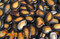 赤峰王記炒貨加盟店電話號碼