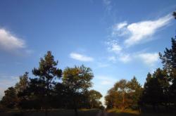 赤峰紅山區(qū)北溝社區(qū)電話號碼