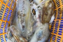 赤峰市海魚專賣店電話號碼