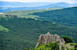 赤峰巧匠貼膜廠電話號碼查詢