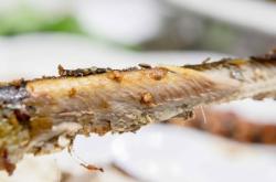 赤峰鴿王燒烤店電話號碼多少