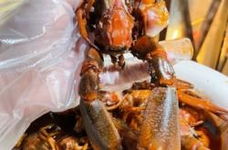 赤峰大龍蝦專(zhuān)賣(mài)店電話號(hào)碼