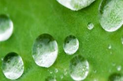 赤峰有機(jī)消光粉廠家電話號(hào)碼