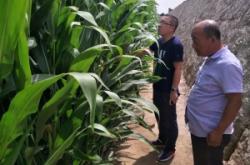 赤峰市松樹園社區(qū)電話號碼是多少