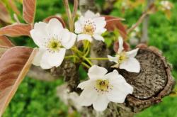 赤峰大蟲生態(tài)園電話多少號(hào)