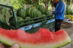 赤峰賣棒球棍電話地址是多少號(hào)