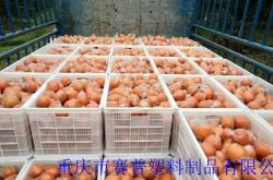 赤峰收塑料筐電話號(hào)碼查詢地址