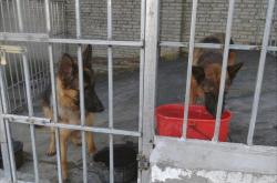 赤峰肉護養(yǎng)殖場地址電話號碼