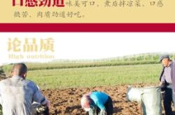 赤峰市中藥館電話號(hào)碼多少