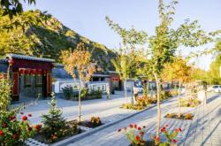 赤峰肉鴨養(yǎng)殖廠家電話號碼