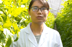 赤峰勞動力鑒定中心電話號碼