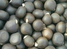 赤峰桃汁批發(fā)電話(huà)號(hào)碼多少