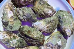 赤峰康韻唐朝火鍋店電話號碼