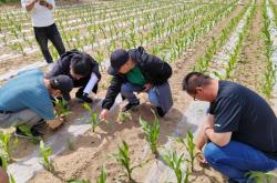 赤峰市農(nóng)牧局的電話號(hào)碼