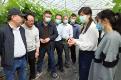 赤峰葡萄專家電話多少啊