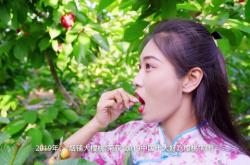 赤峰煙冠大櫻桃基地電話號(hào)碼