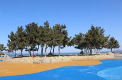 赤峰市悅海社區(qū)簡(jiǎn)介電話號(hào)碼