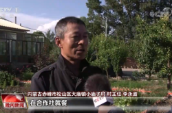 赤峰賣(mài)小乳豬的電話(huà)號(hào)碼是多少