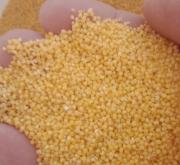 赤峰萬達小米 電話號碼查詢