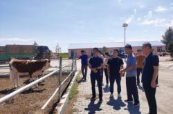 赤峰重鋼結(jié)構(gòu)施工隊(duì)電話號(hào)碼