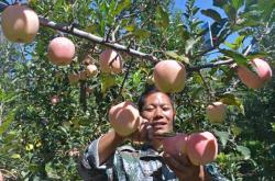 赤峰崗臺(tái)村小米店電話多少號(hào)