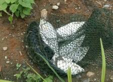 赤峰橋北釣魚野釣地點電話號碼