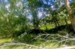 赤峰林地租賃公司電話地址查詢