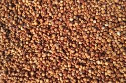 赤峰本地鉬絲供應商電話號碼