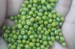 赤峰豆媽愛生活電話號碼查詢