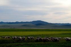 赤峰乃林秧歌隊(duì)地址電話號碼