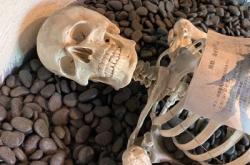 赤峰探店紋身店電話號(hào)碼查詢