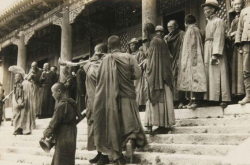 赤峰老孟寵物店地址電話號碼