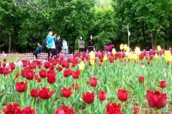 赤峰雨潤(rùn)鮮花店電話號(hào)碼查詢