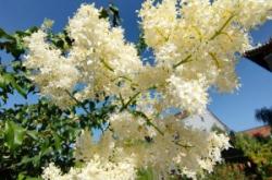 赤峰市泰和王府民宿電話號(hào)碼