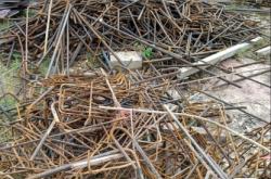 赤峰廢鋼壓塊自提廠家電話號碼