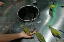 赤峰水族館門票訂購(gòu)電話號(hào)碼