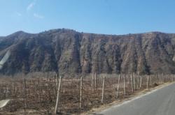 赤峰西橋煙花店電話(huà)多少號(hào)