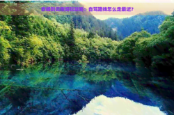 赤峰長(zhǎng)途旅游團(tuán)電話多少號(hào)