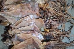 赤峰魷魚干批發(fā)電話號(hào)碼查詢