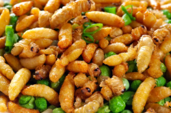 赤峰泳衣服裝店電話地址查詢