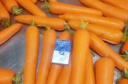 赤峰小羅卜營地電話號碼