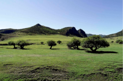 赤峰市林東鎮(zhèn)球館地址電話號碼