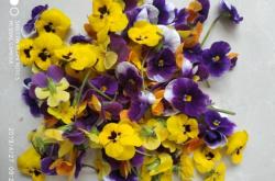 赤峰盤飾鮮花店地址電話號(hào)碼