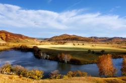 赤峰樺木廠家電話號碼查詢